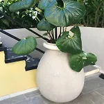 Casa Perla Apartmán