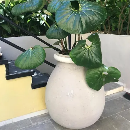 Casa Perla Апартаменты